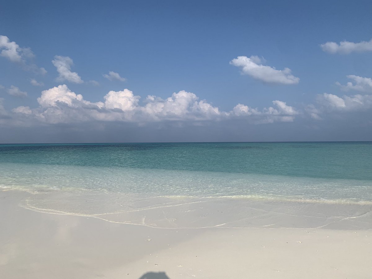 小幡いな🌱イラストレーター tweet media