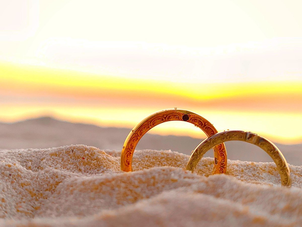 小幡いな🌱イラストレーター tweet media