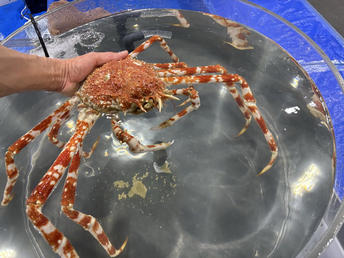 マリン@リミックスインター店 tweet media