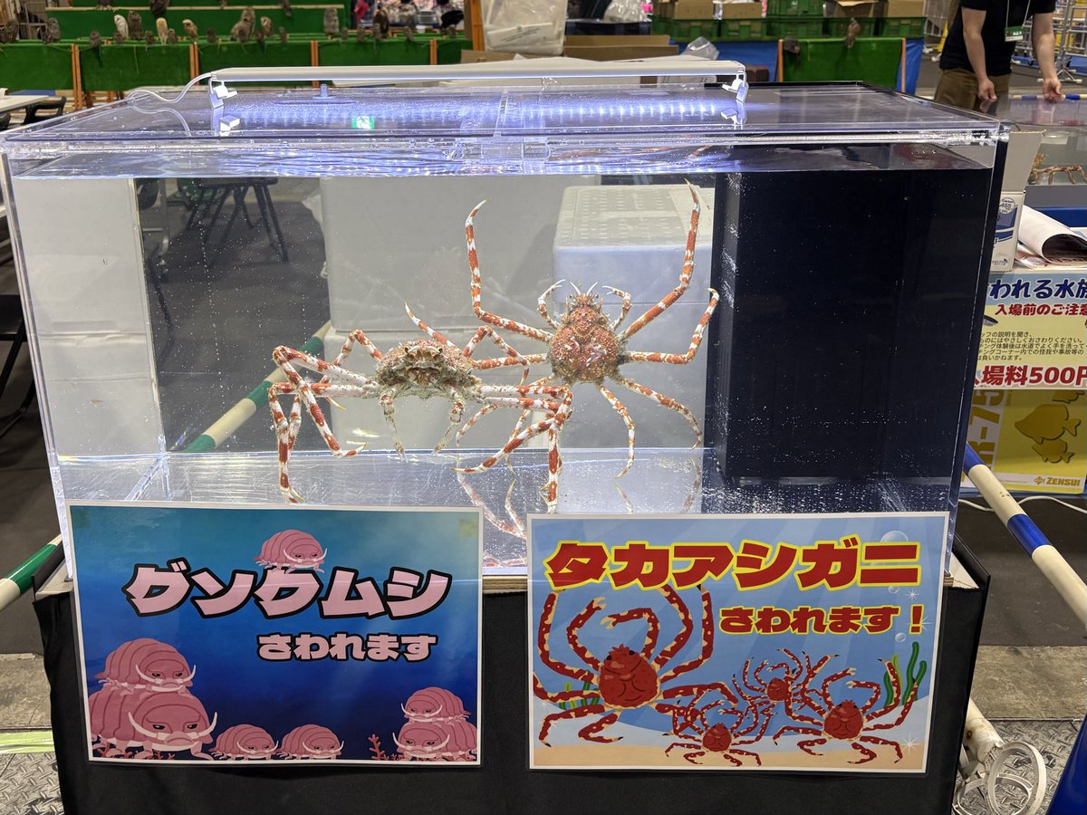 マリン@リミックスインター店 tweet media