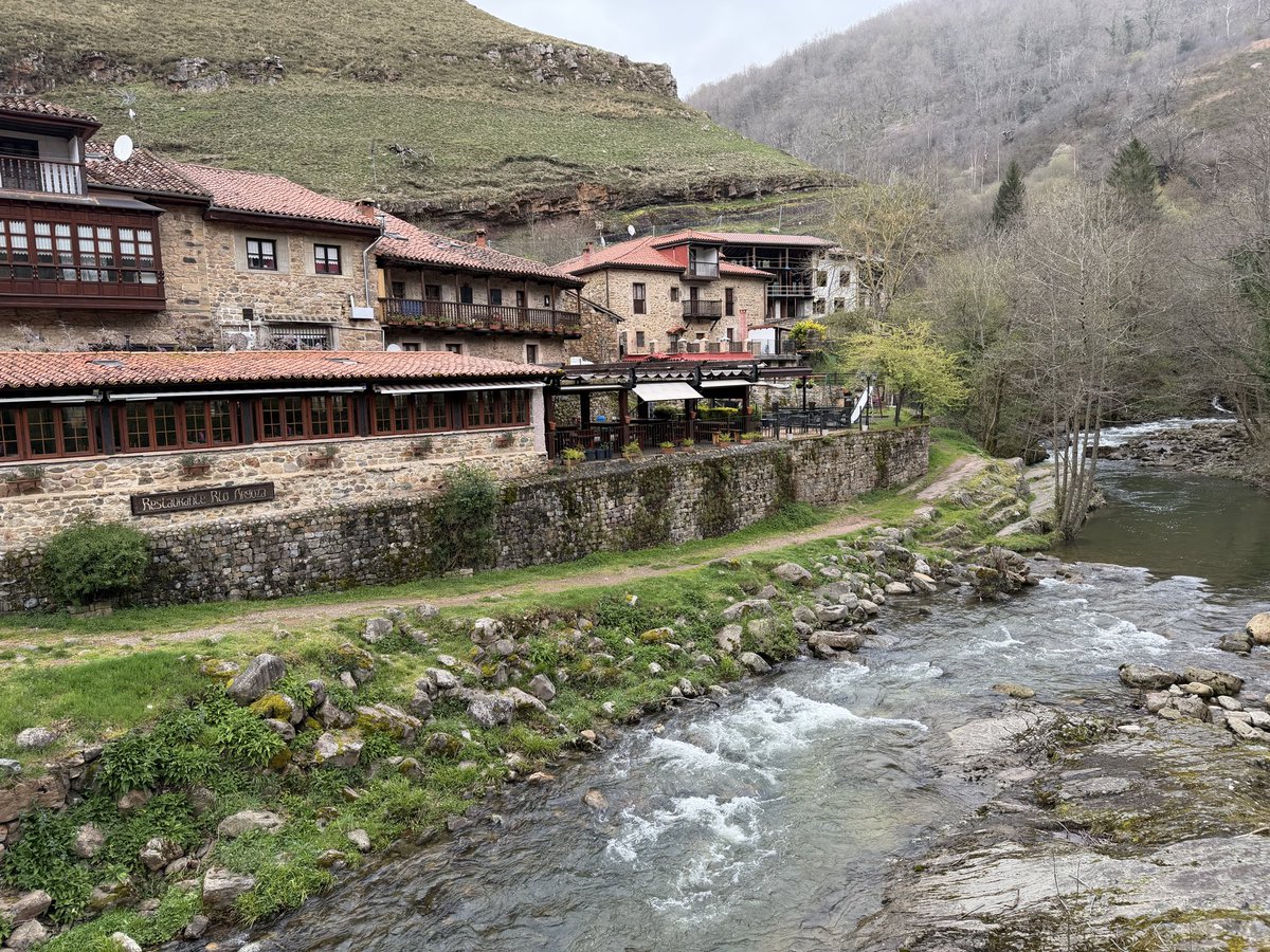 MagistraThor🇪🇸 tweet media