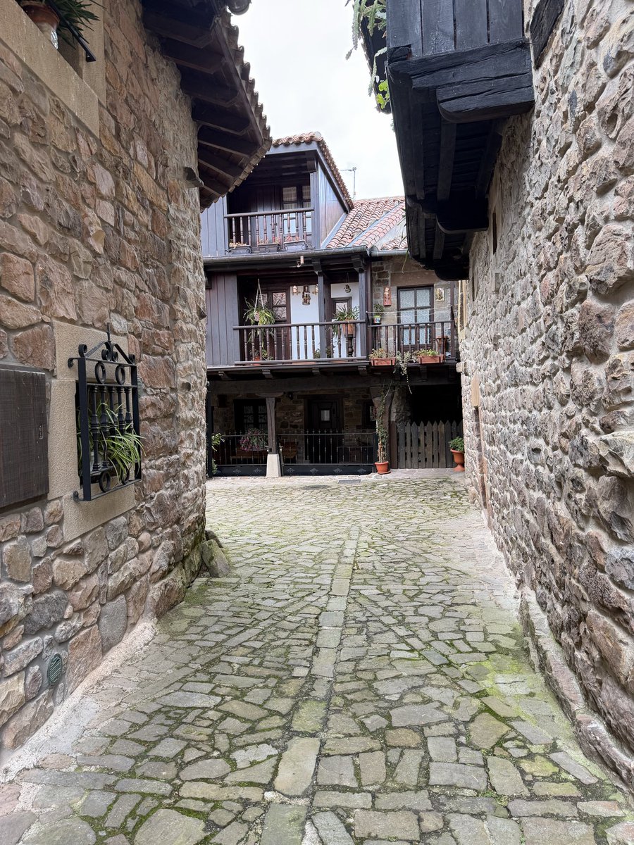 MagistraThor🇪🇸 tweet media