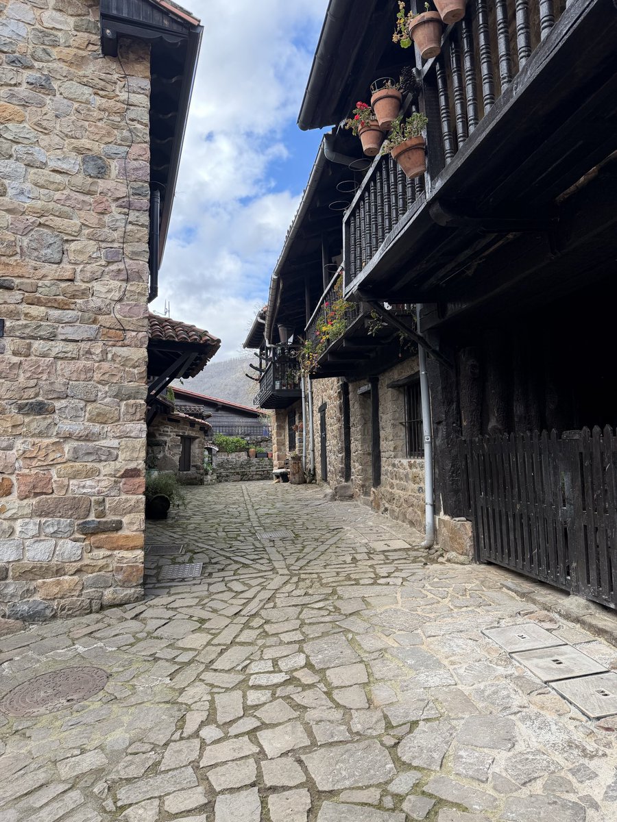 MagistraThor🇪🇸 tweet media