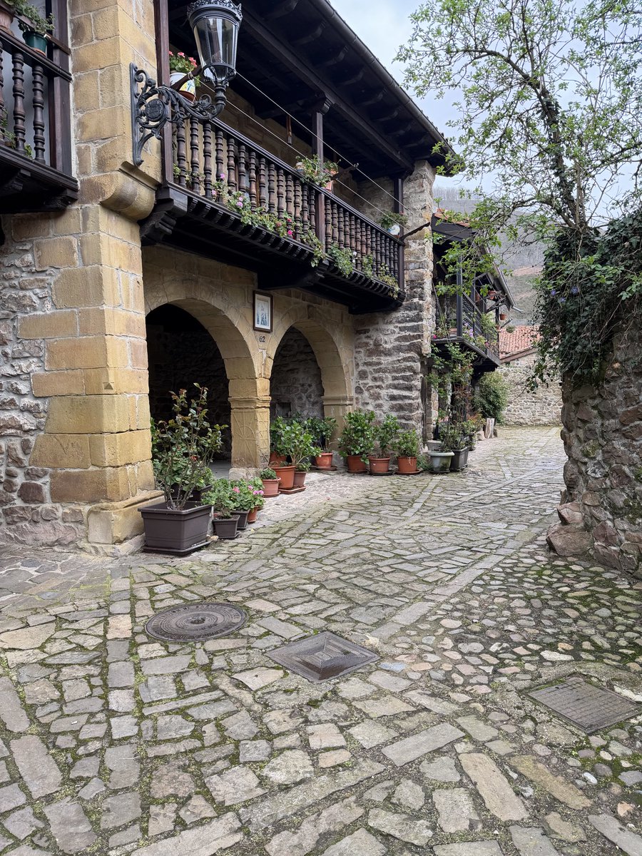 MagistraThor🇪🇸 tweet media