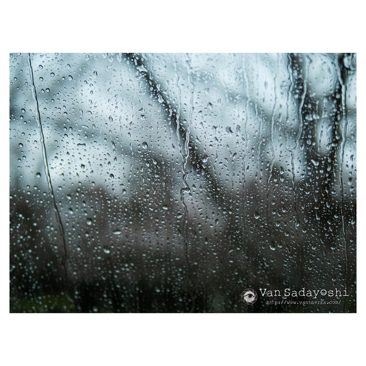 伴貞良 tweet media