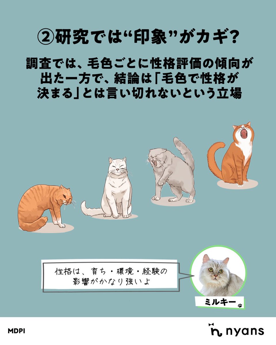猫のためのnyans【公式】 tweet media