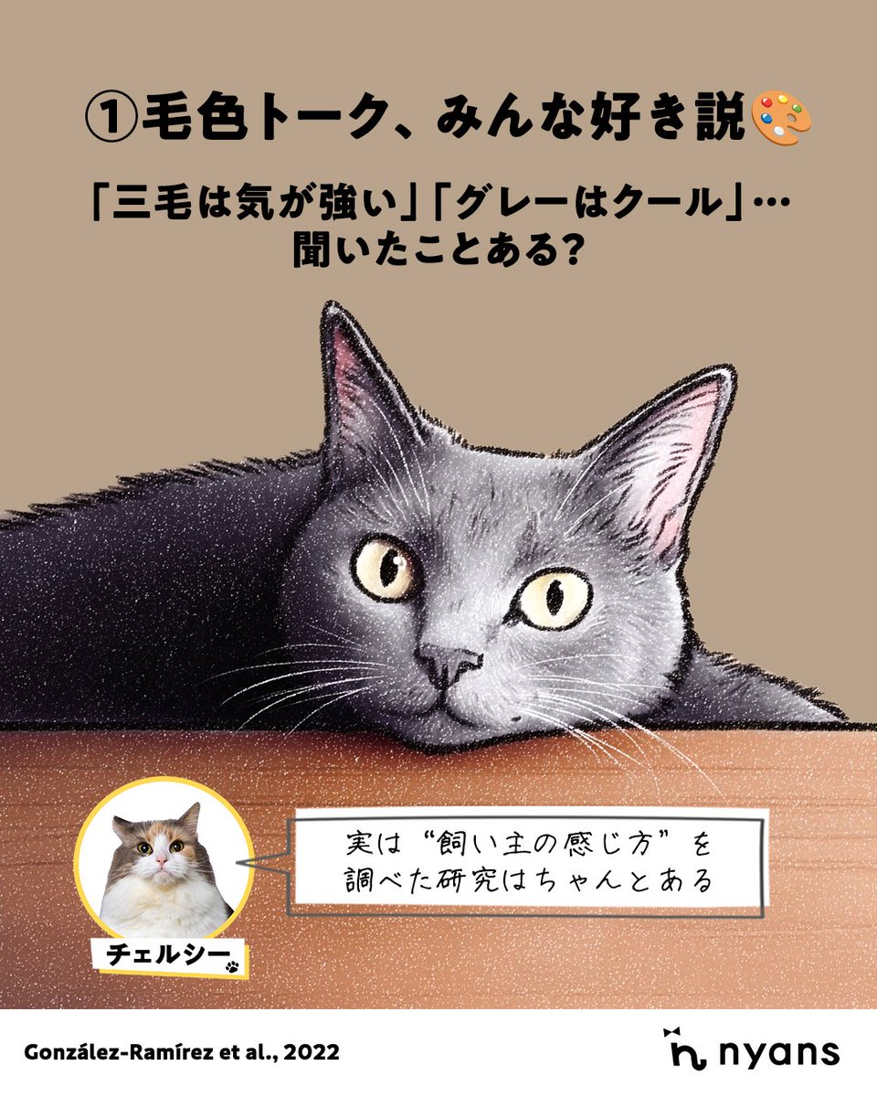 猫のためのnyans【公式】 tweet media