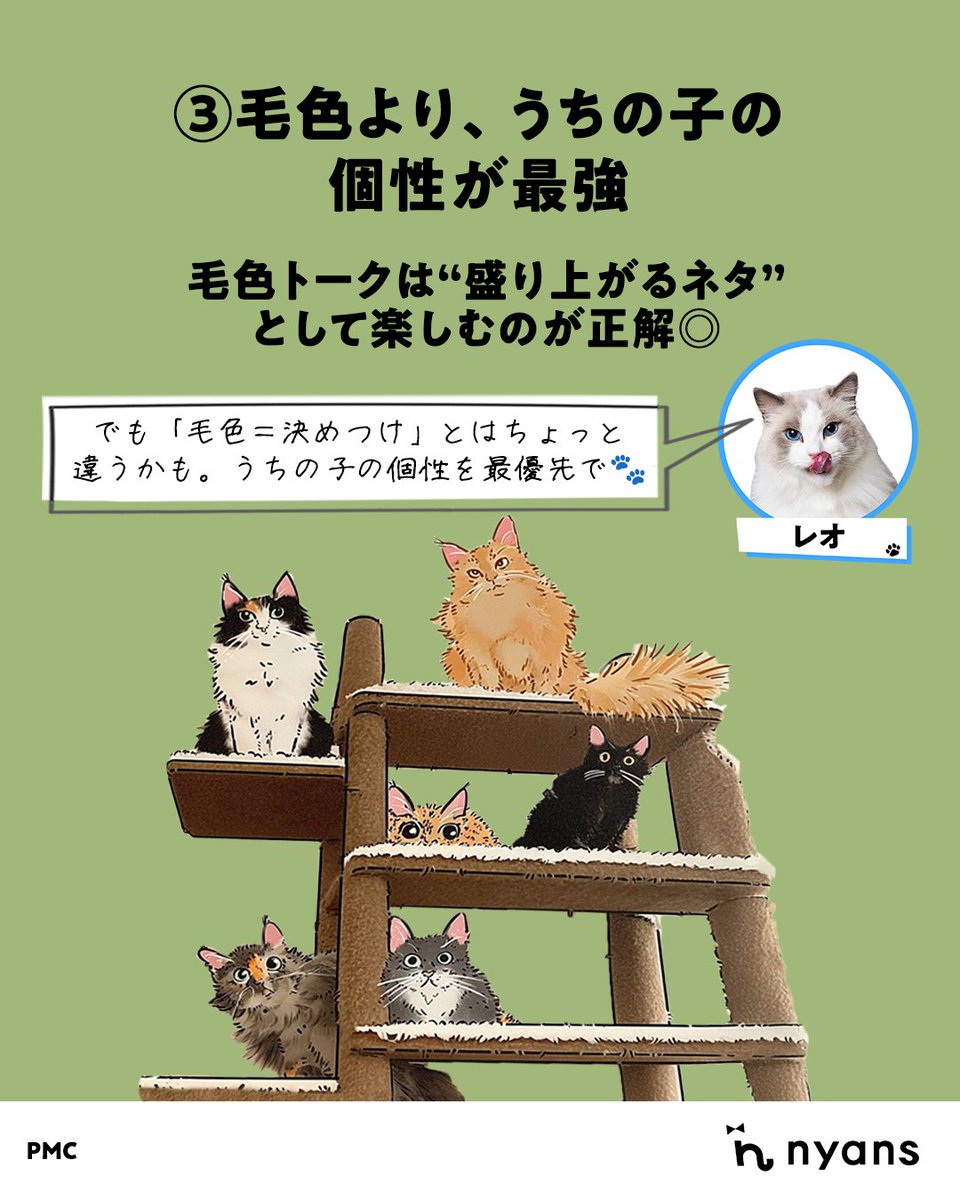 猫のためのnyans【公式】 tweet media