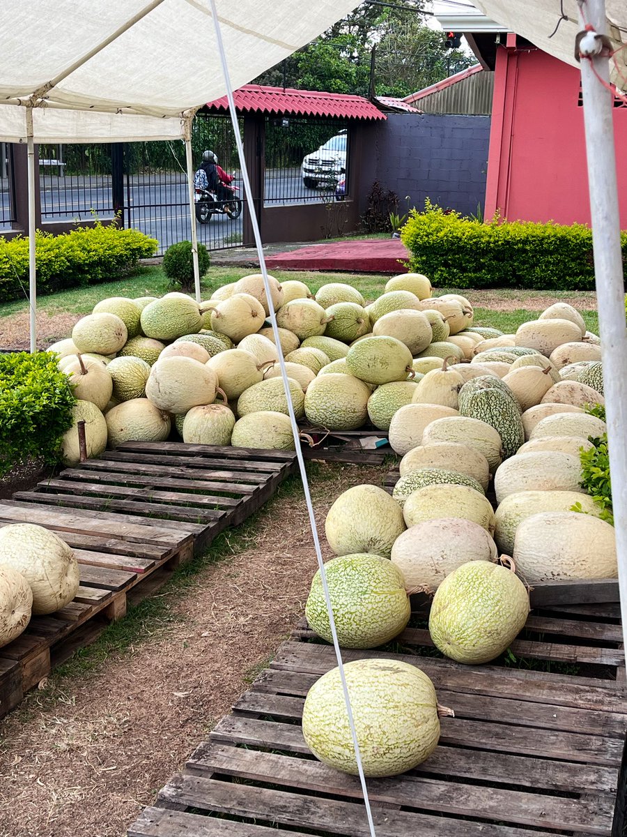 Ya tenemos el chiverre para las empanaditas!!