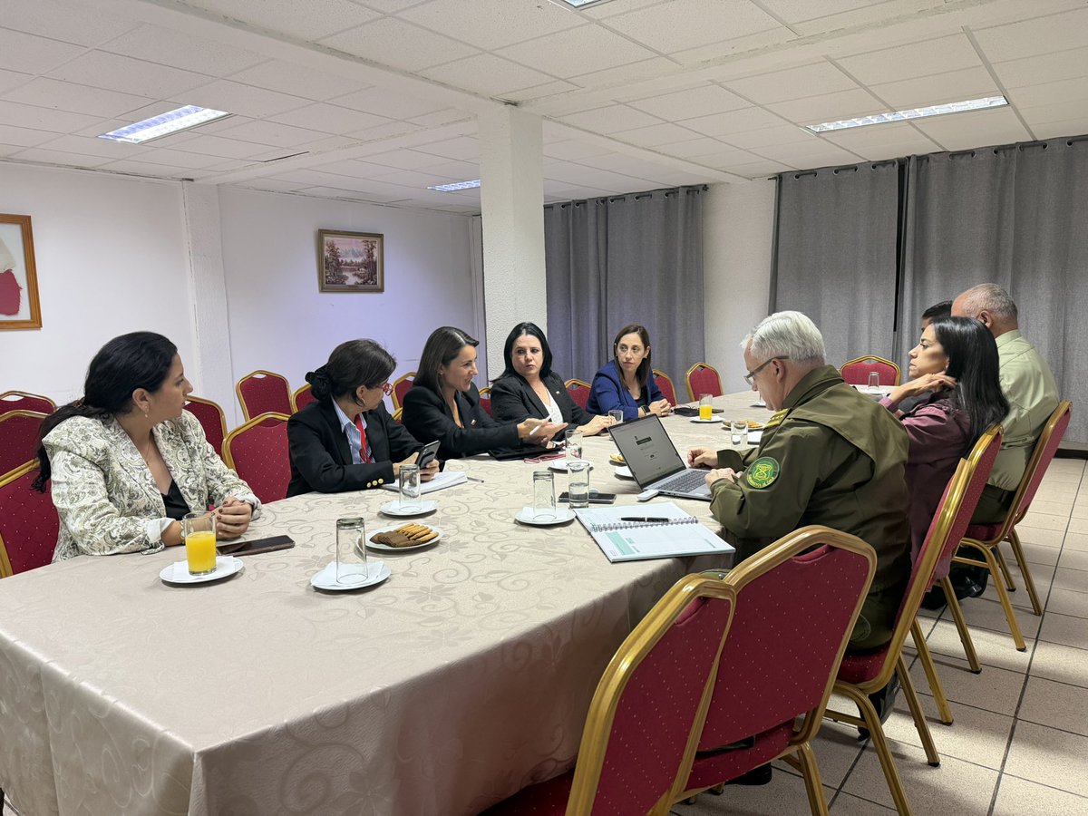 Trinidad Steinert tweet media