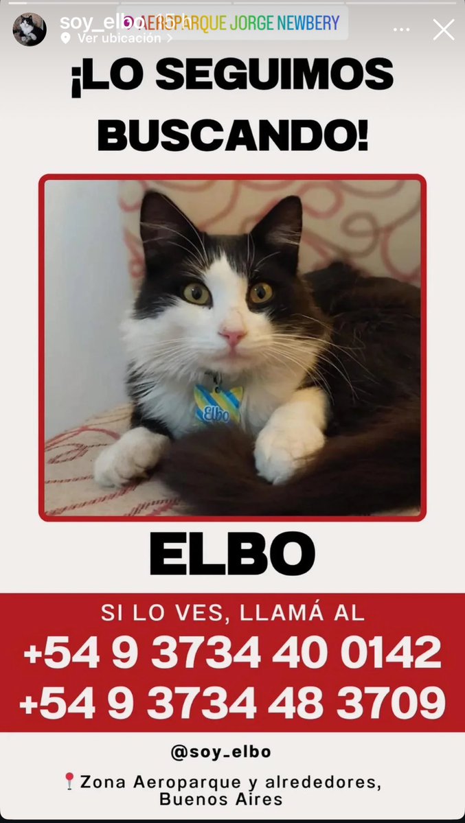 FloridaCat tweet media