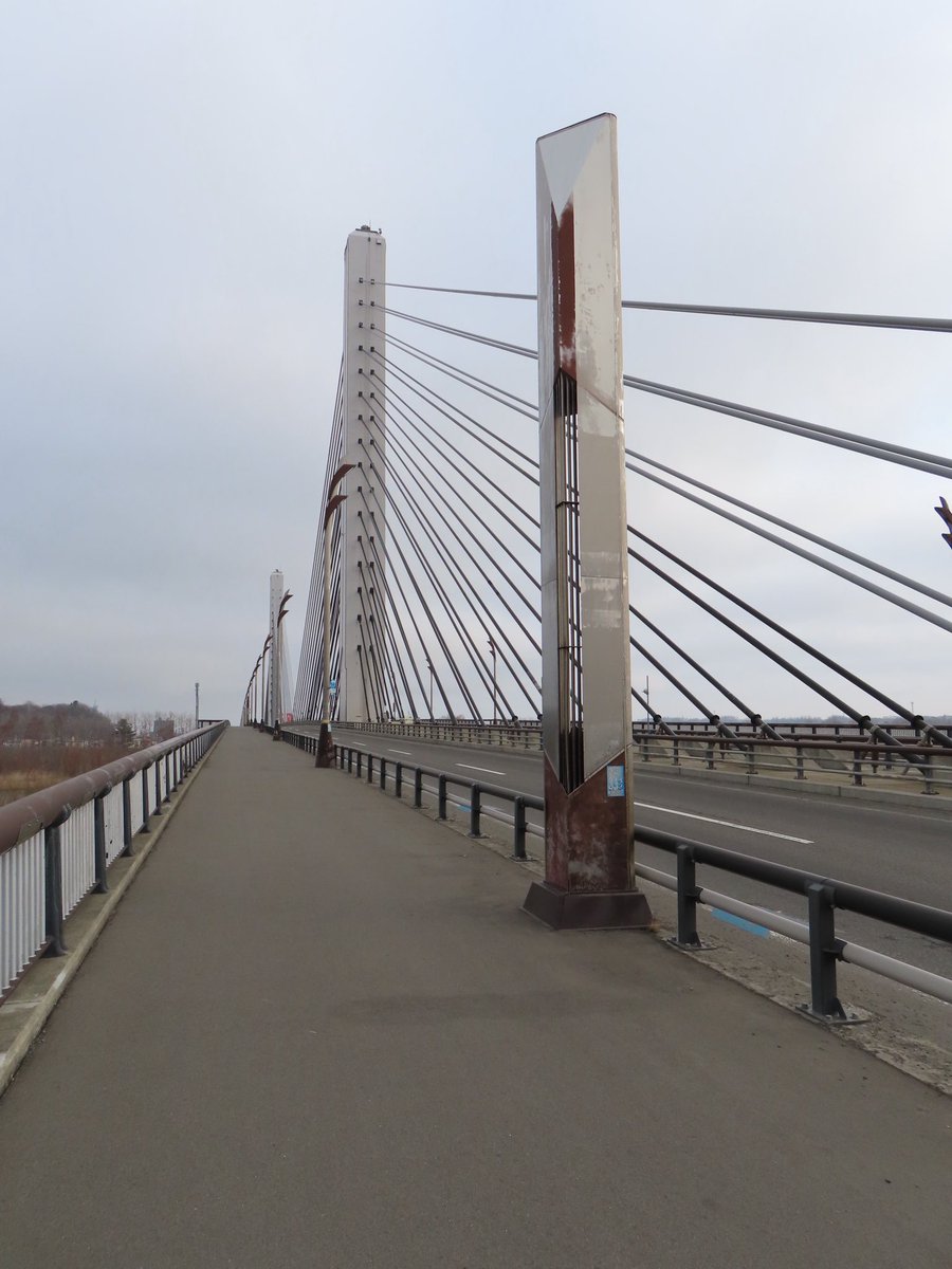 あいど tweet media