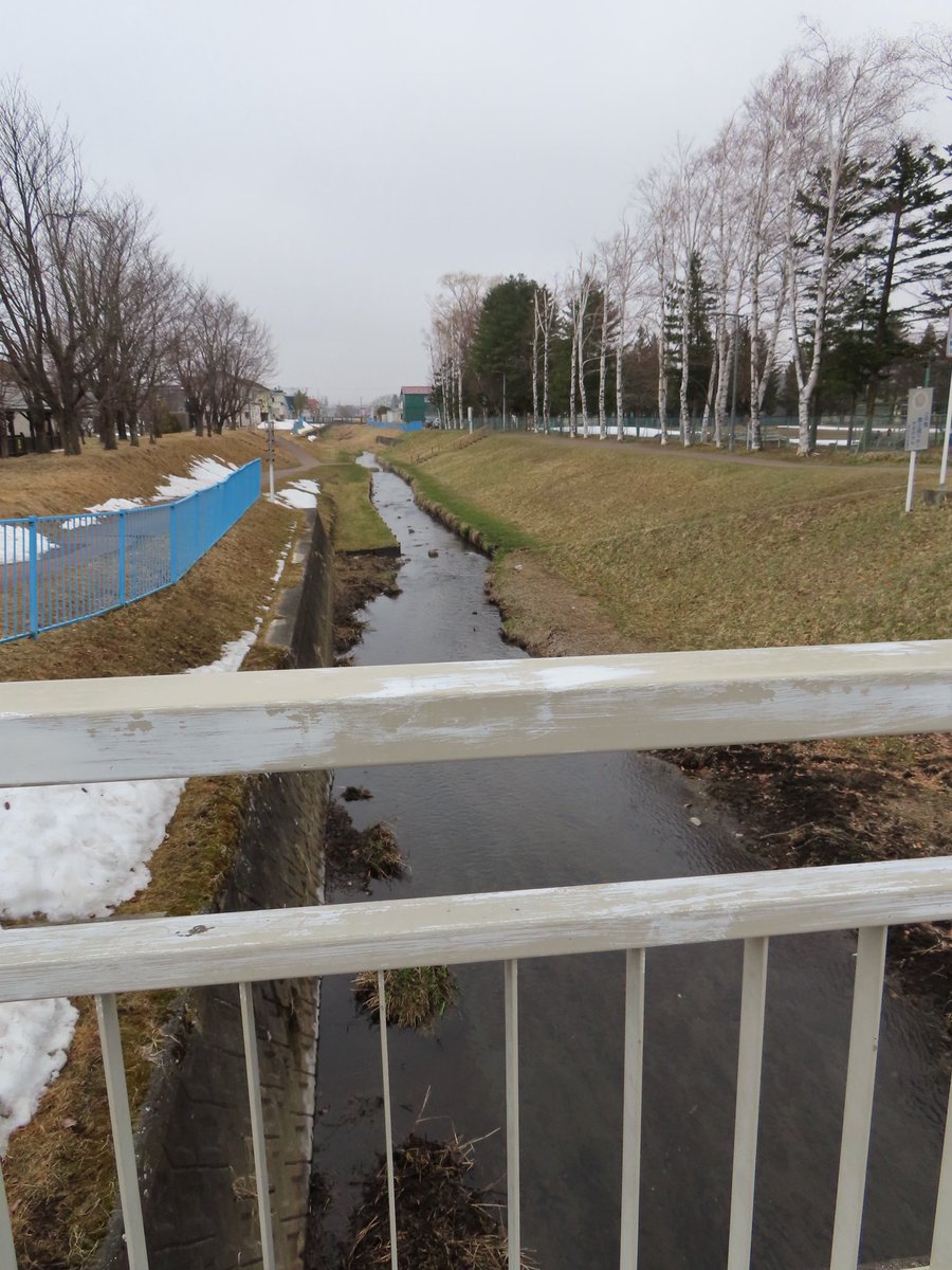 あいど tweet media