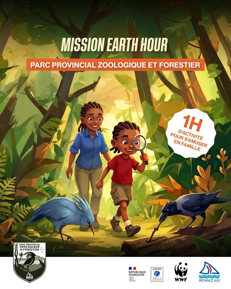 Michelle DeFreese tweet media