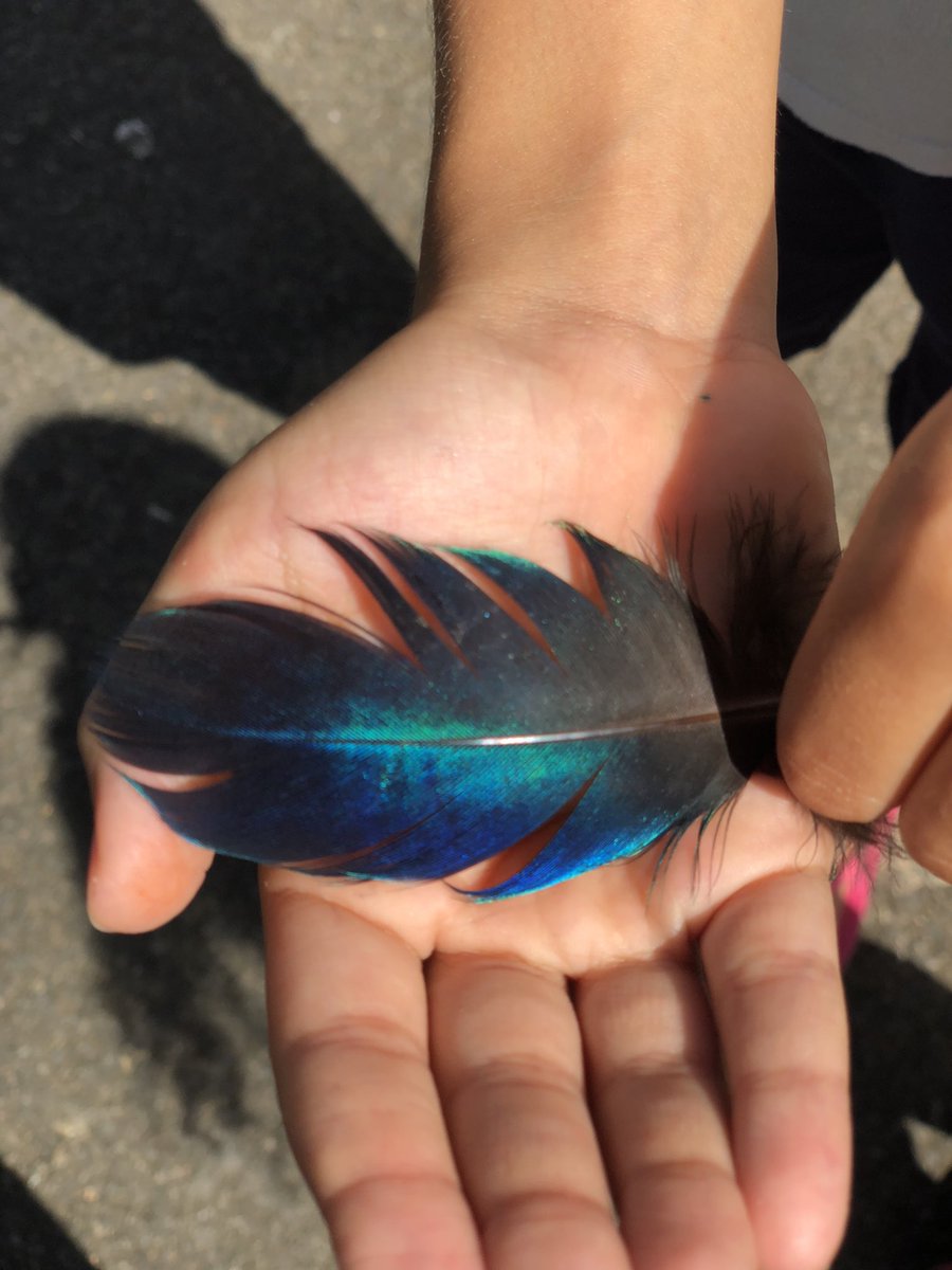 Michelle DeFreese tweet media