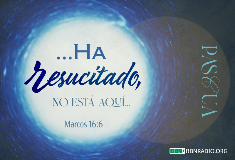 BBNEspañol tweet media