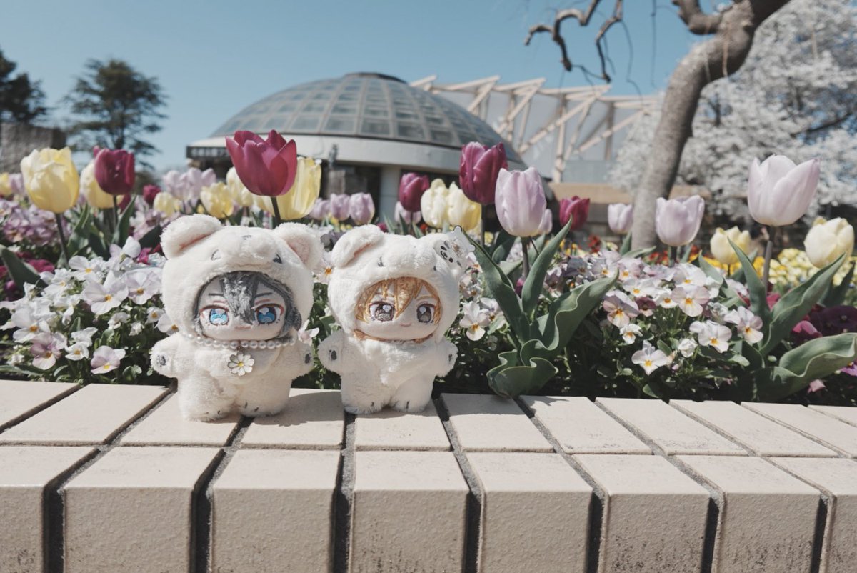 こよい tweet media