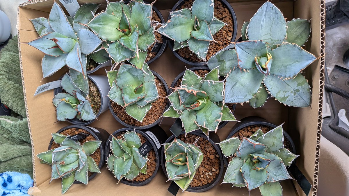 lovesemps tweet media