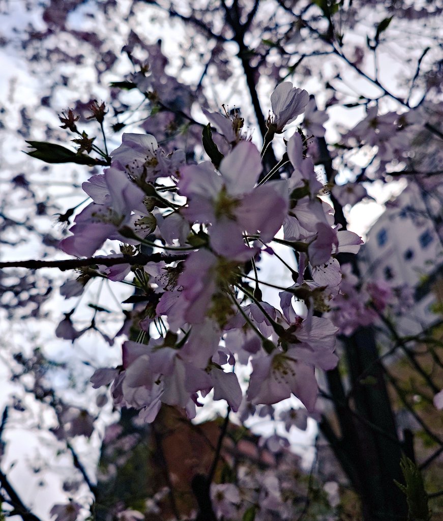 ゆーくむ tweet media