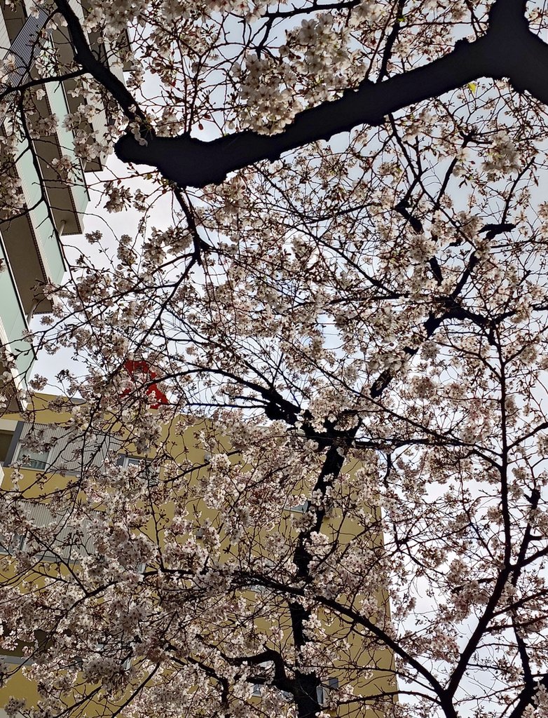 ゆーくむ tweet media