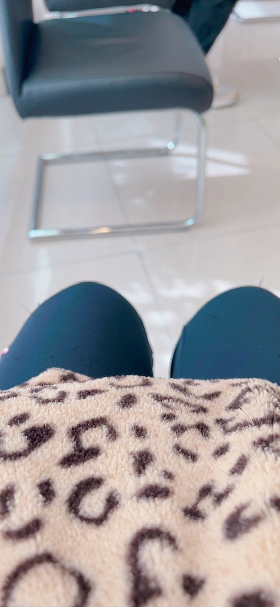 マダムなぽっちゃん🐶🐾 tweet media