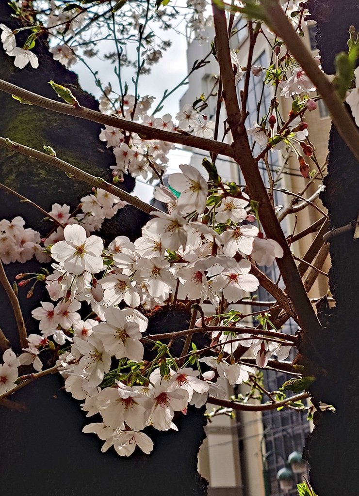 ゆーくむ tweet media