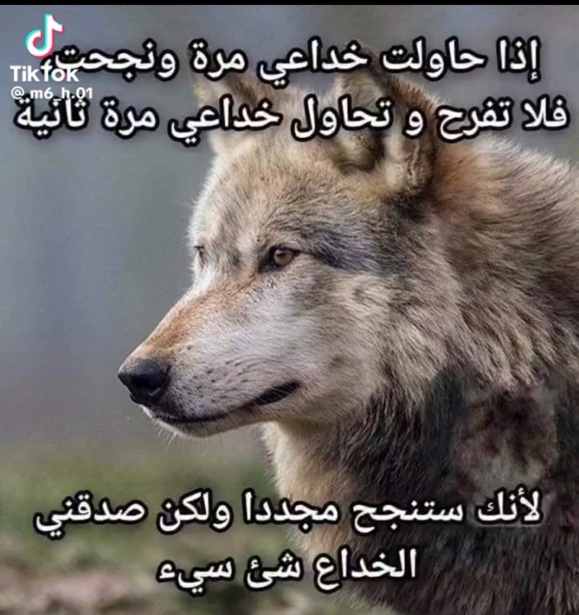 Tala ~💗 tweet media