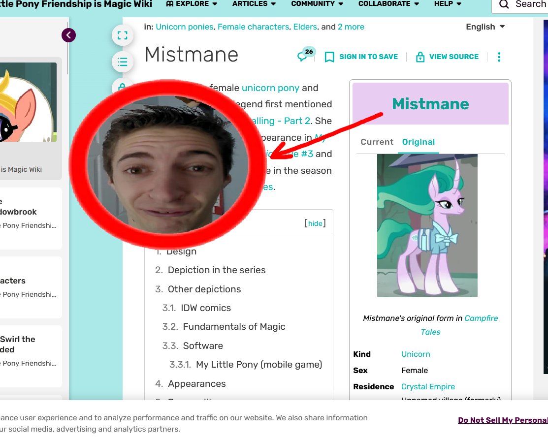 ✨FuzzBunny✨ tweet media