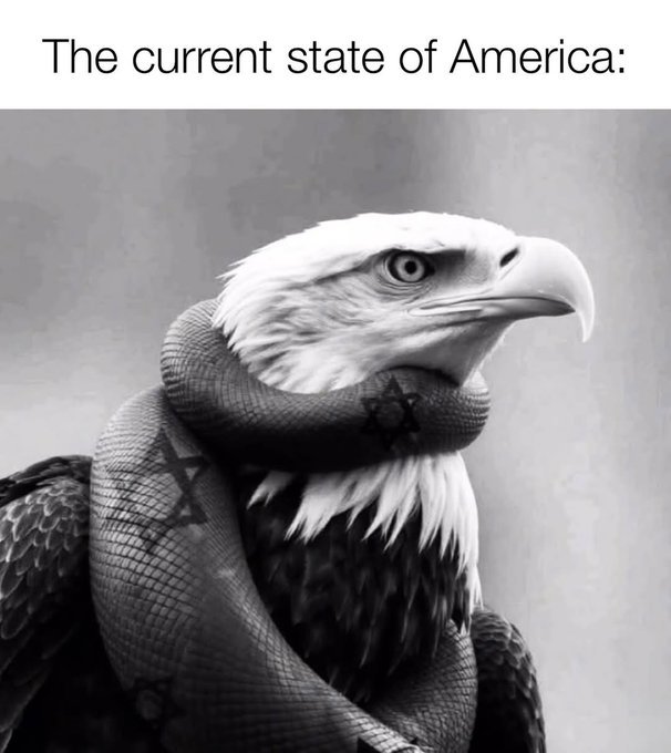 Final Cut Tile 🇺🇸 tweet media