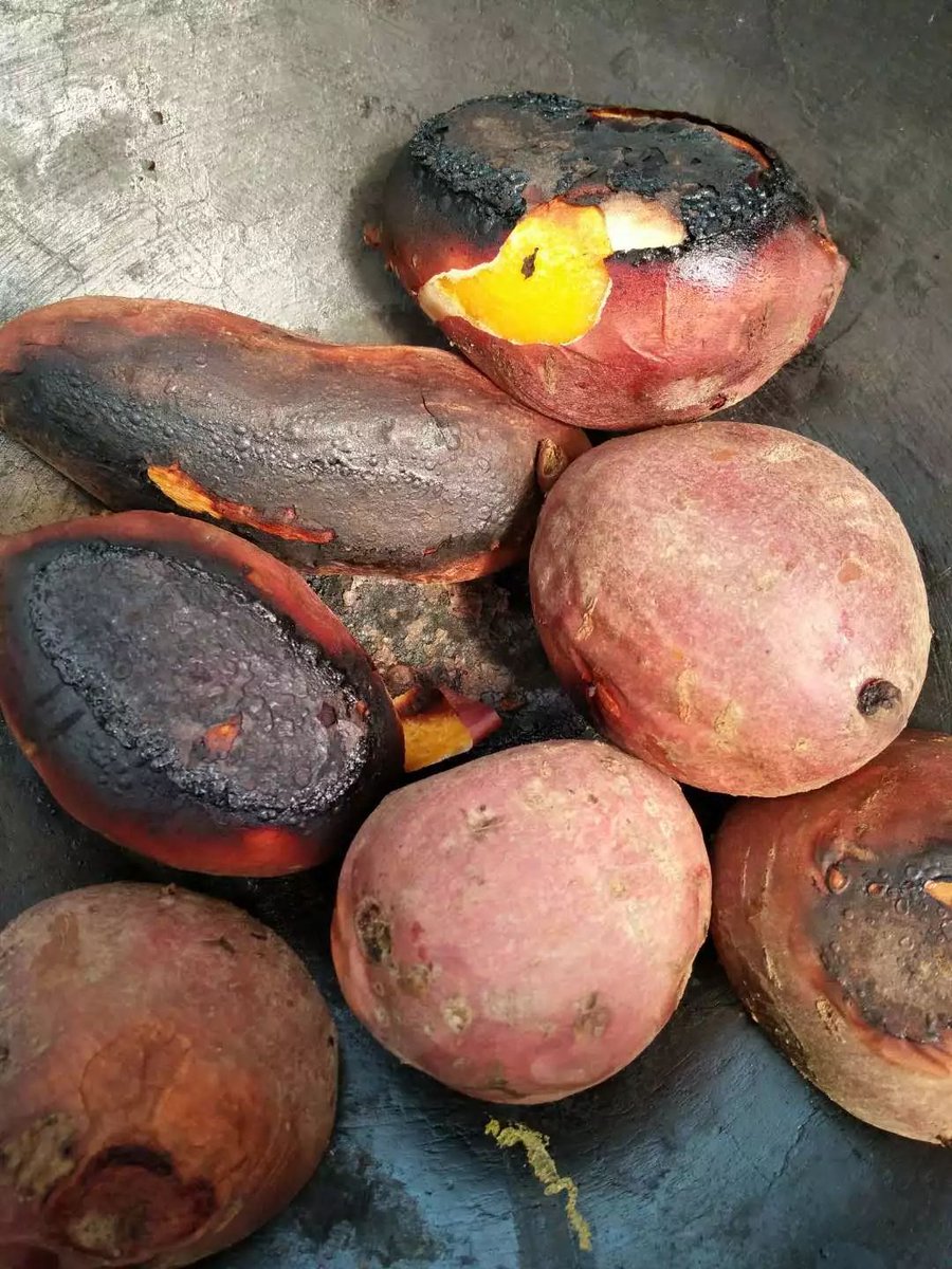 Arnau Batalla tweet media