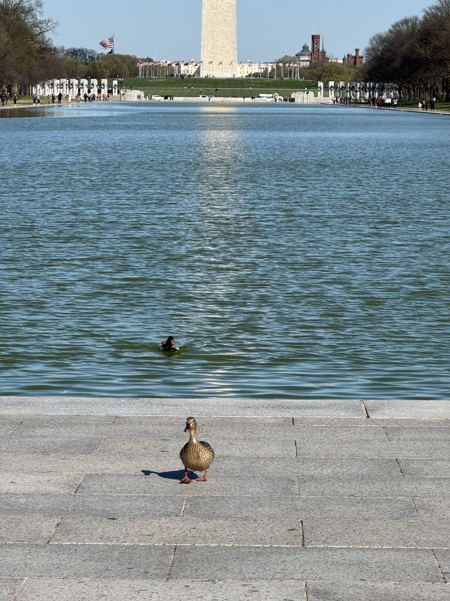 Meteorologist Anna Head tweet media