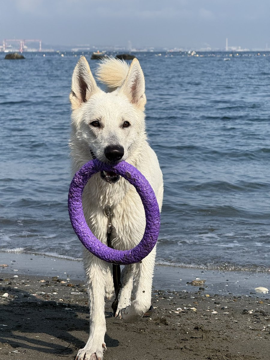 Kazu Tomita tweet media