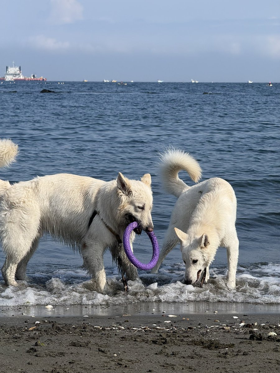 Kazu Tomita tweet media