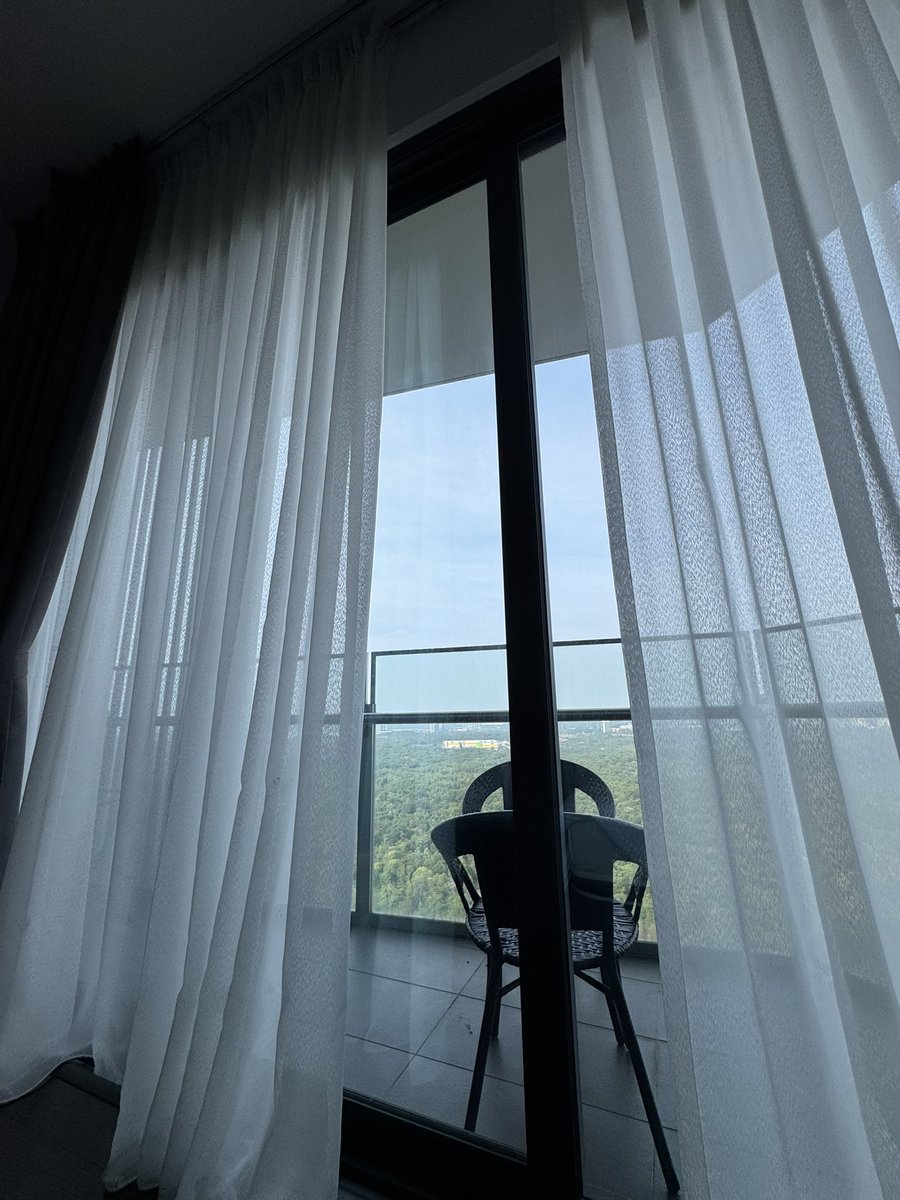 Blossoom tweet media