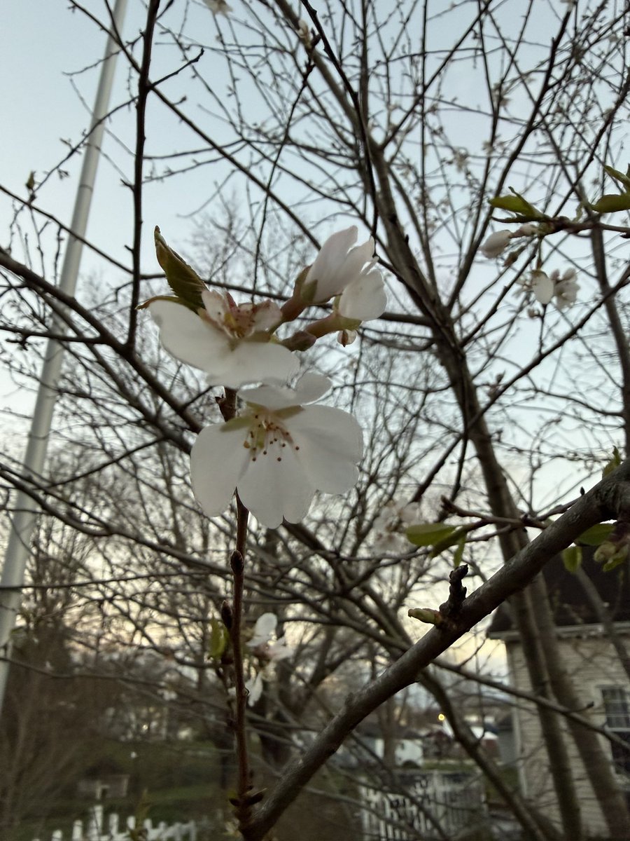 Jake Arthur tweet media