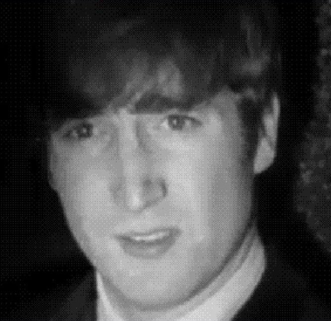 🐾 purrringo 🐾 tweet media