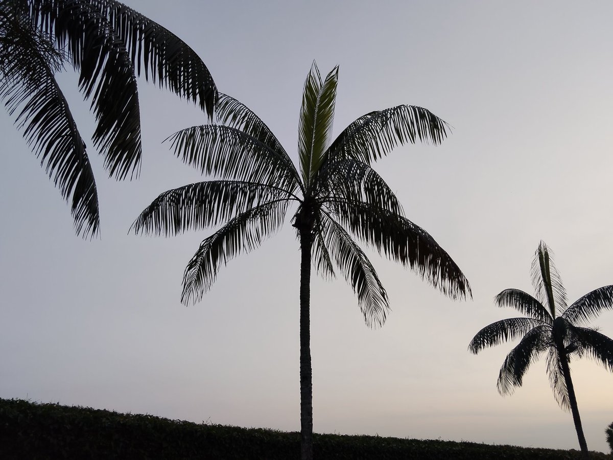 🥝Kiwi🥝 tweet media