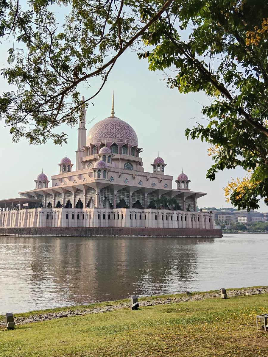 🥝Kiwi🥝 tweet media