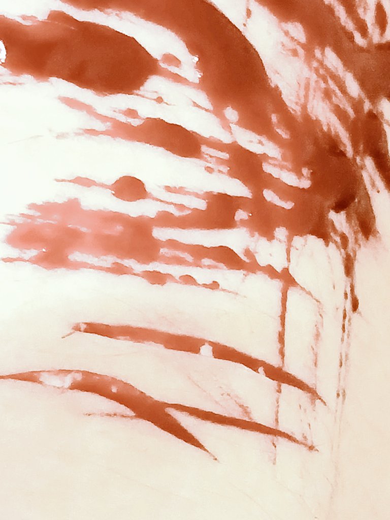 𝟢ۖ𝟵⵿ ۭׄ𓋲ْۜ 𝐋𝗨ۚۙ鿦𝐉𝖠ۣؗ𝖭ۭۜ. tweet media