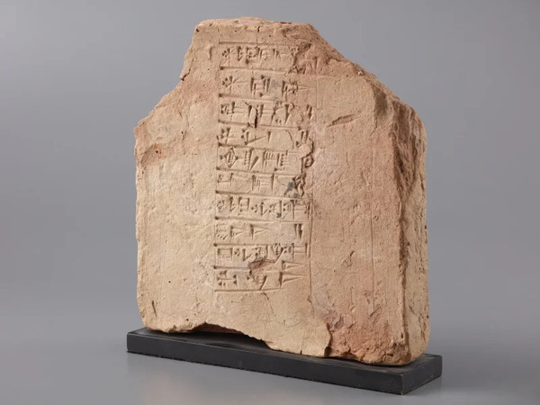 ストレートプレス tweet media