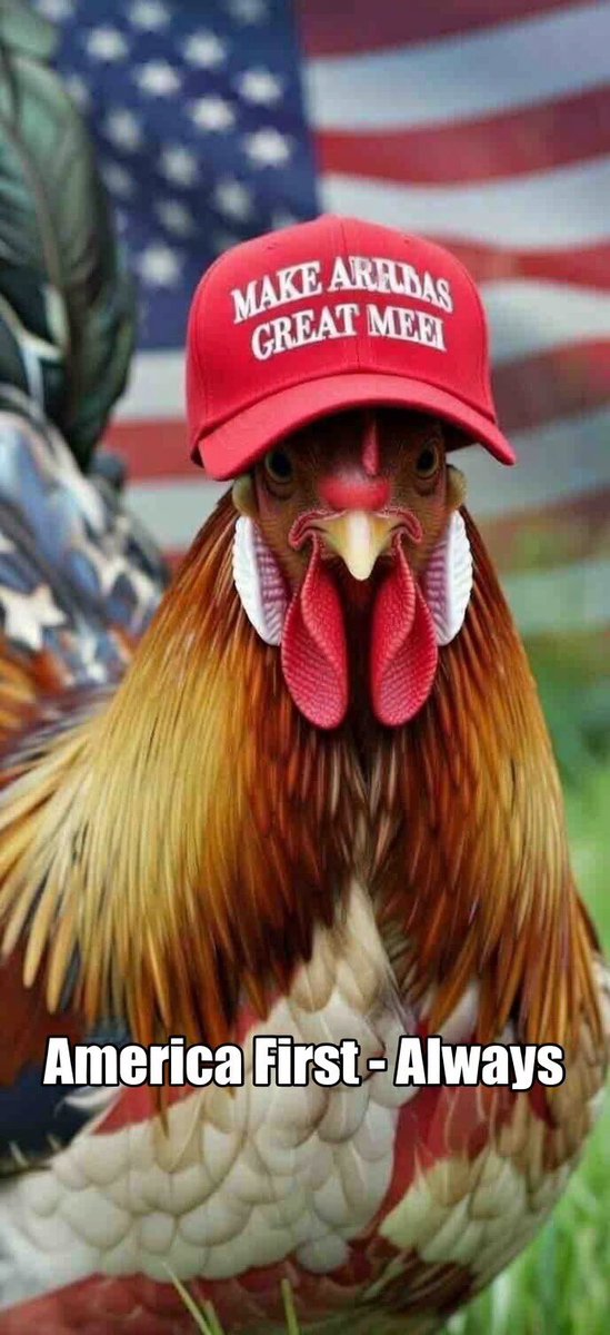 MidwestMom 🇺🇸🏝️🐓 tweet media