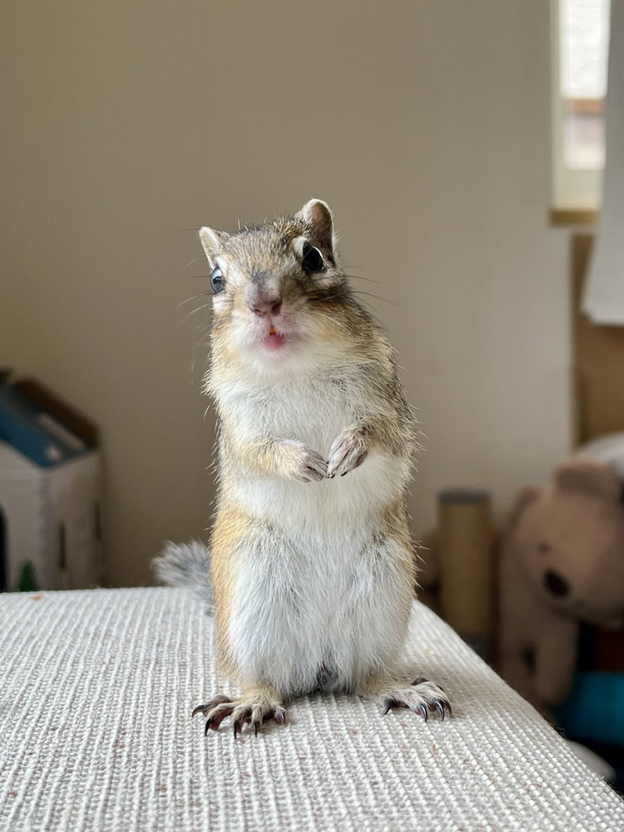 あさり tweet media