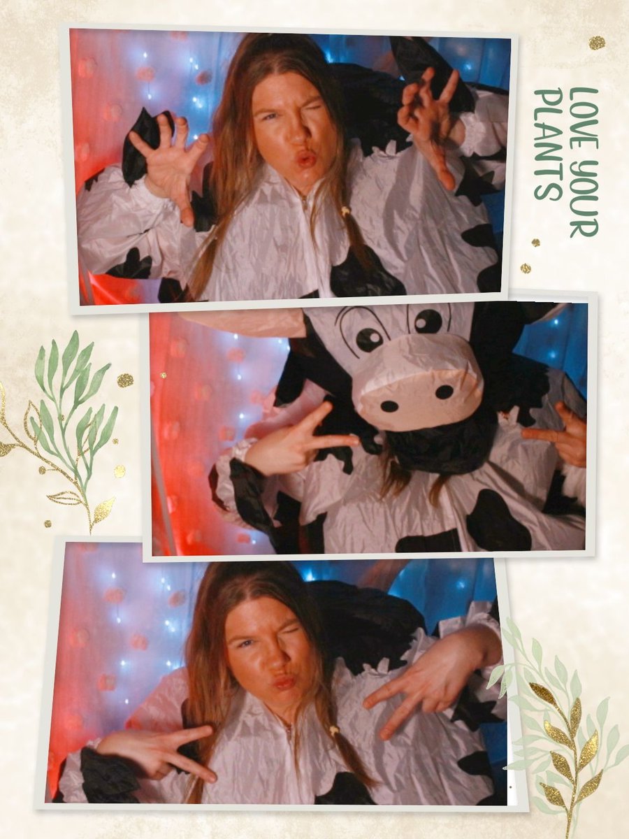 denakina's tweet image. Dena does &amp;lt;Herdcore&amp;gt; Druid? Confirmed furry enjoyer? This is UDDERLY Ridiculous! Let's keep it Mooooving! Like if u want to see my hooves 🐮 Reincarnation of Denamoomy. Come catch me live on Twitch &amp;amp; YT 🤍 🤎 

#skullrock #horde #druid #hardcore #selffound