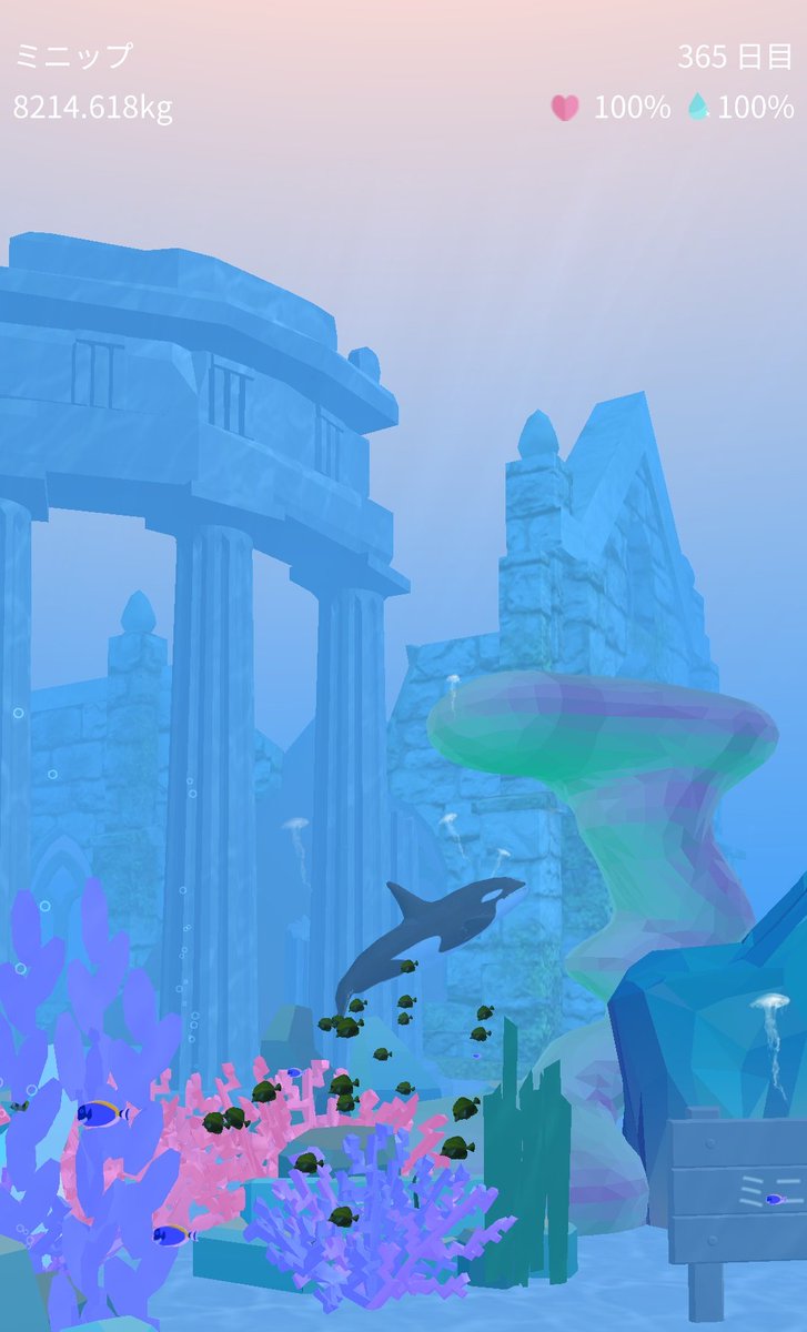 シャチ1歳おめでと。
ミニップが8214.62kgに成長しました。#シャチ育成bit.ly/4dyelNa