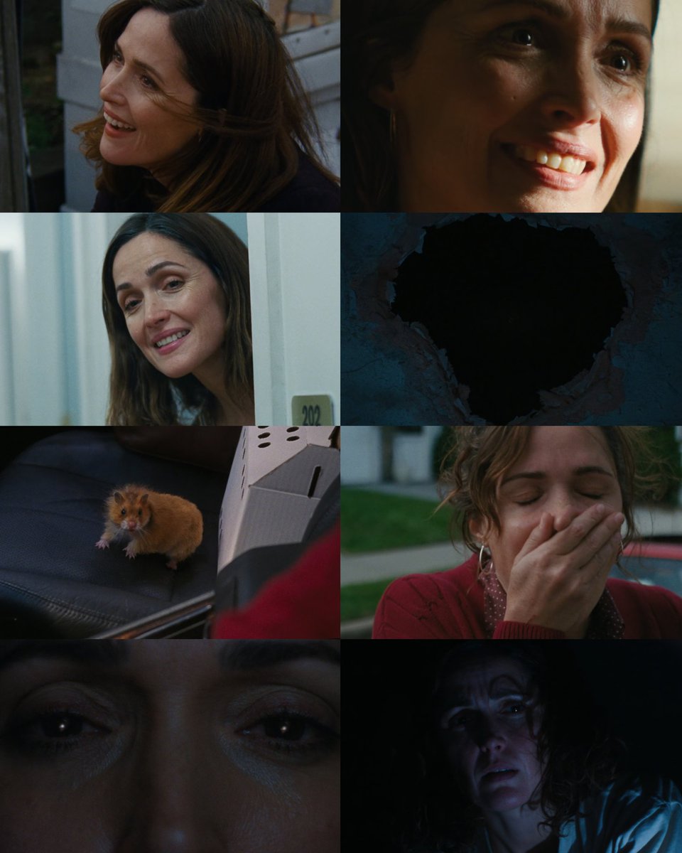 CINEMA 505 tweet media