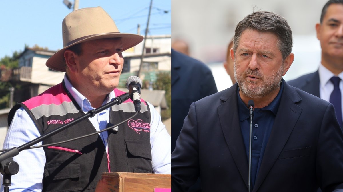 Cooperativa tweet media