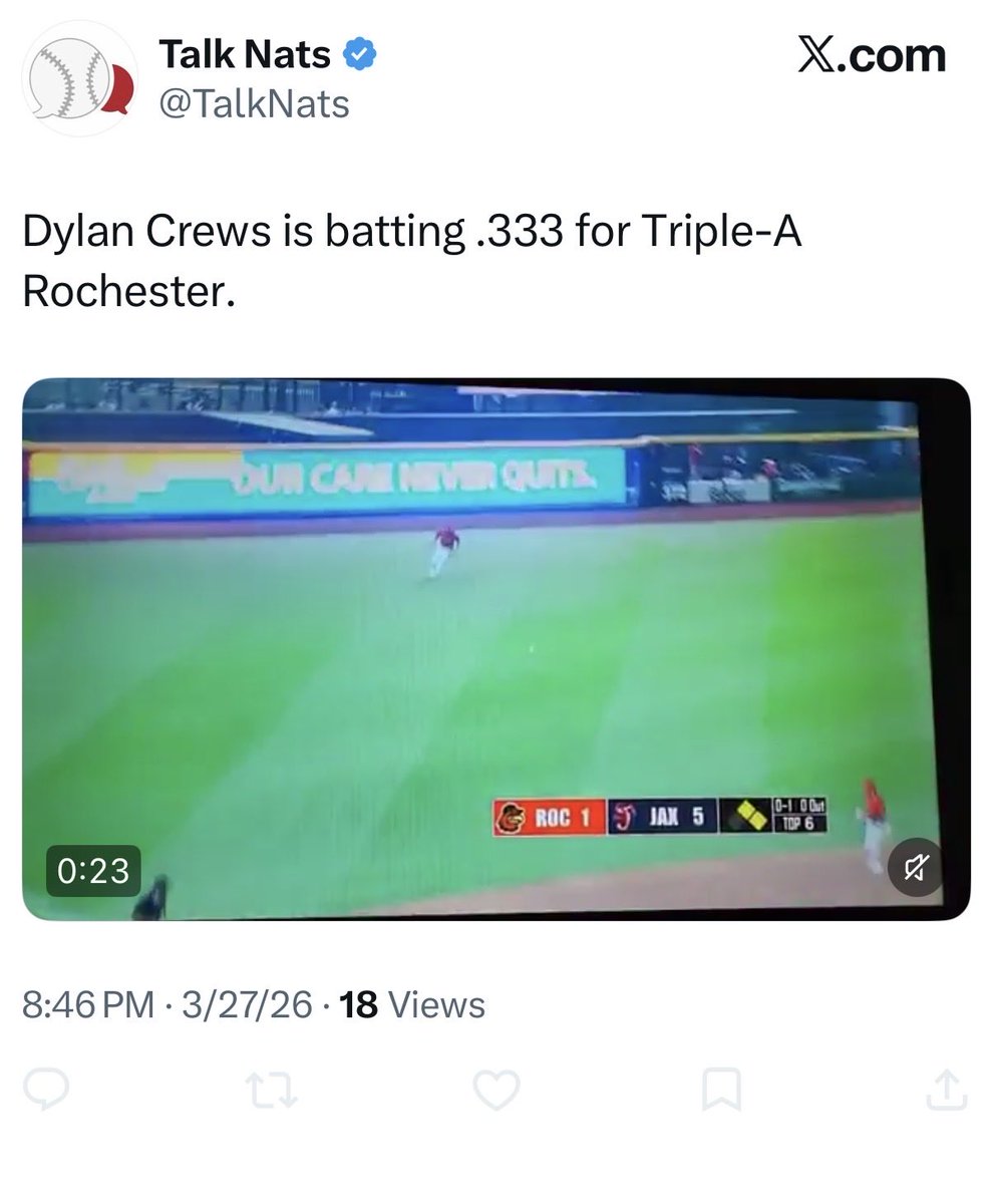 optimistic nats fan tweet media