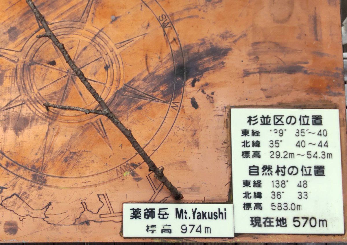 キャップ tweet media