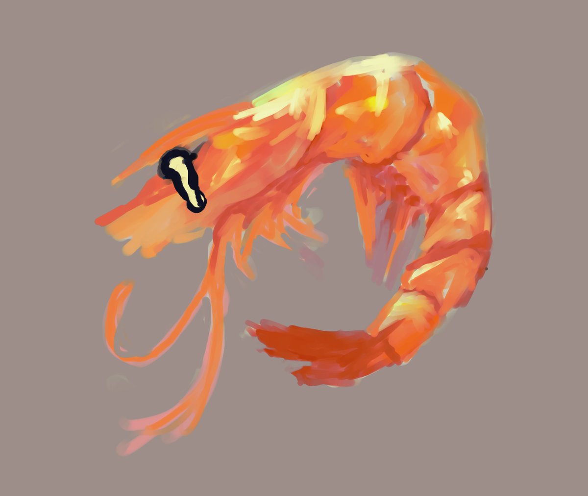 Bukimikou's tweet photo. Shrimp cried rice https://t.co/JNpmTmFTSg