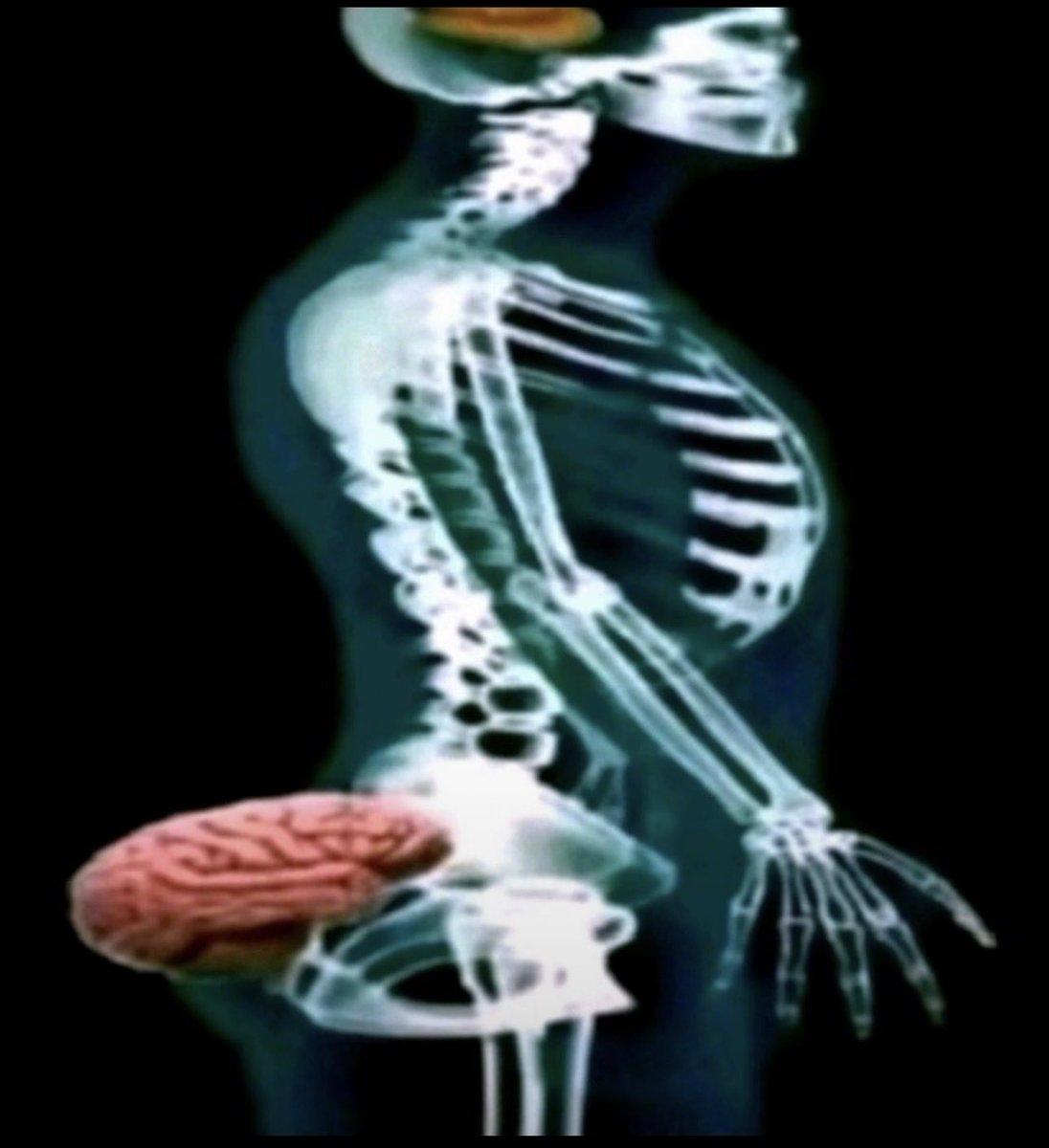 βłακε✞ tweet media